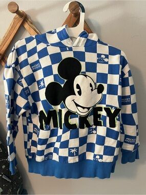 Zara Blue and White Checker Pullover Hoodie